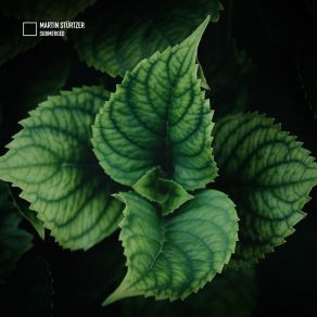 Submerged (Maxi-Single) album cover