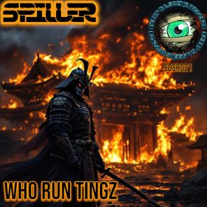 Who Runs Tingz album cover