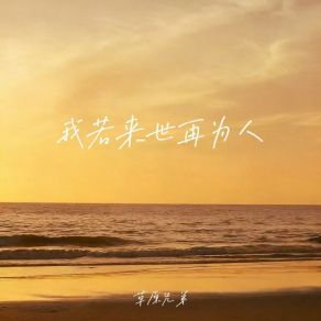 我若来世再为人 (DJ九零版) album cover