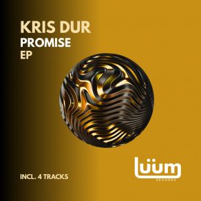 Promise album cover