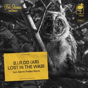 Lost In The Wabi album cover