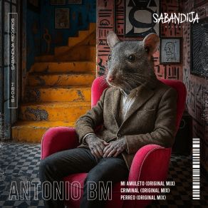 Mi Amuleto album cover