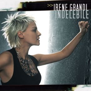 Indelebile album cover