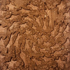 Unerthed: Hole Erth Unplugged album cover