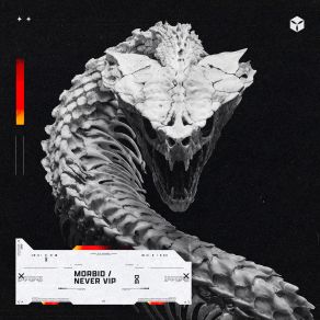 Morbid / Never VIP album cover