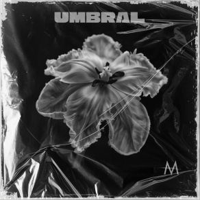 Umbral album cover