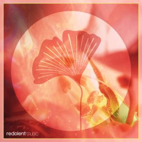 Pachamama album cover