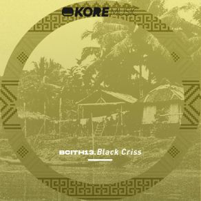BCITH13 album cover
