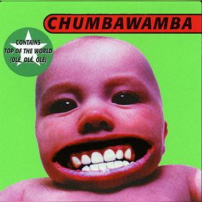 Tubthumper album cover