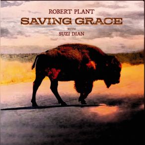 Saving Grace album cover