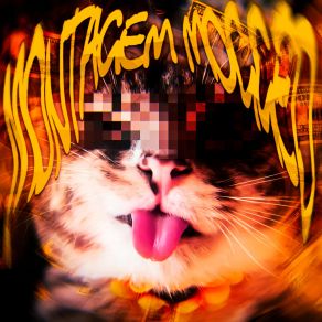 MONTAGEM MOGGED album cover