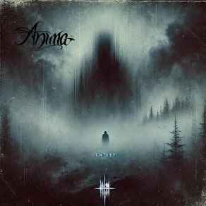 Entity album cover