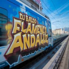 Flamenco Andaluz album cover