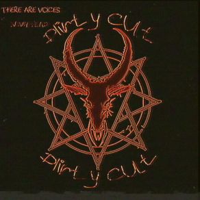 THERE ARE VOICES IN MY HEAD album cover