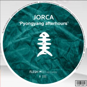 Pyongyang Afterhours album cover