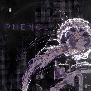 Phenol album cover