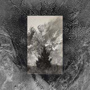 Siècle album cover