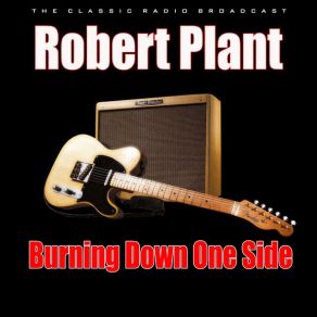 Burning Down One Side (Live) album cover