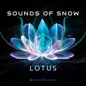 Lotus album cover