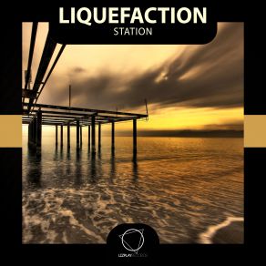 Station album cover