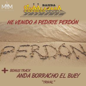 He Venido A Pedirte Perdón (Anda Borracho El Buey) album cover
