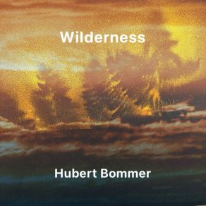 Wilderness album cover