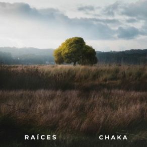 Raíces album cover