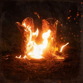 Walk Through Fire: Songs From The Smoke album cover