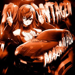MONTAGEM MARAVILHOSO album cover
