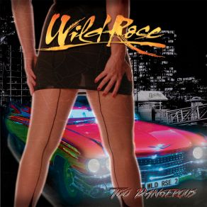 Too Dangerous album cover
