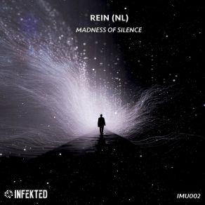 Madness Of Silence album cover