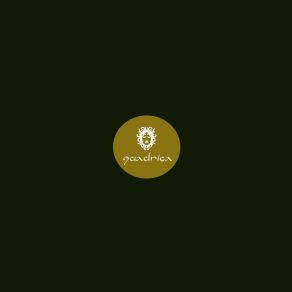 Phase Lock album cover