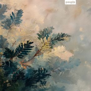 Quiet Ferns album cover