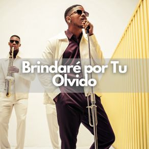 Brindaré Por Tu Olvido album cover