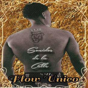 Sonidos De La Calle album cover