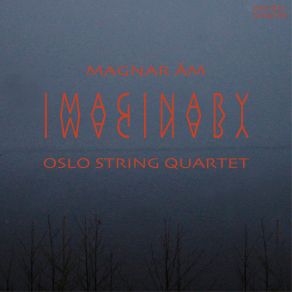 Imaginary (Between Weight And Weightlessness) album cover