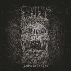 Feral Darkness album cover