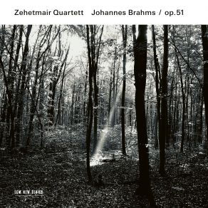 Brahms: String Quartets, Op. 51 Nos. 1 & 2 album cover
