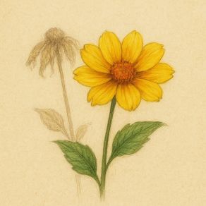 Palisadnik album cover