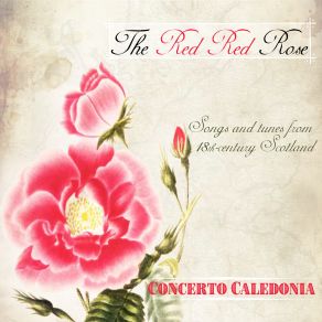 The Red Red Rose album cover
