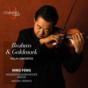 Brahms & Goldmark: Violin Concertos album cover
