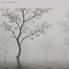 Wonderful Morning album cover