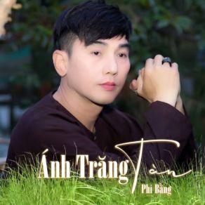 Ánh Trăng Tàn # 1 album cover