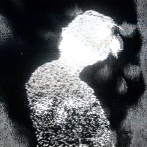 HARMONIA DA MORTE album cover