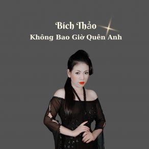 Không Bao Giờ Quên Anh album cover