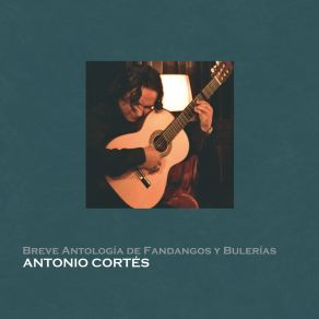 Breve Antología De Fandangos Y Bulerías album cover
