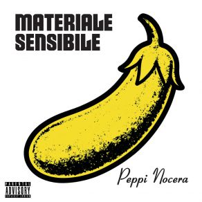 Materiale Sensibile album cover