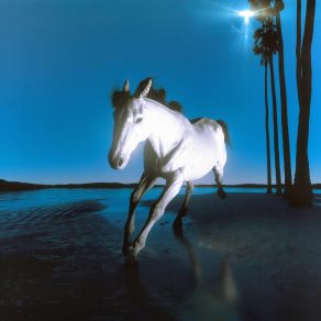 Paradiso album cover