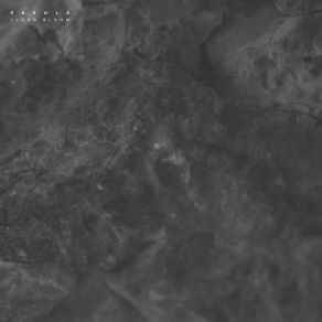 Cloud Bloom / Echoes album cover