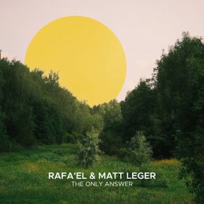 The Only Answer album cover